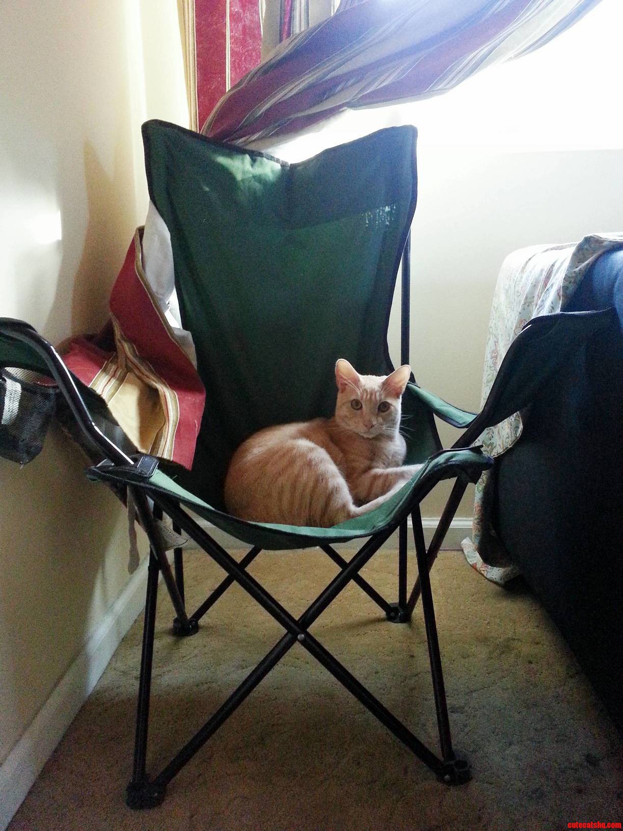 Like a Boss.