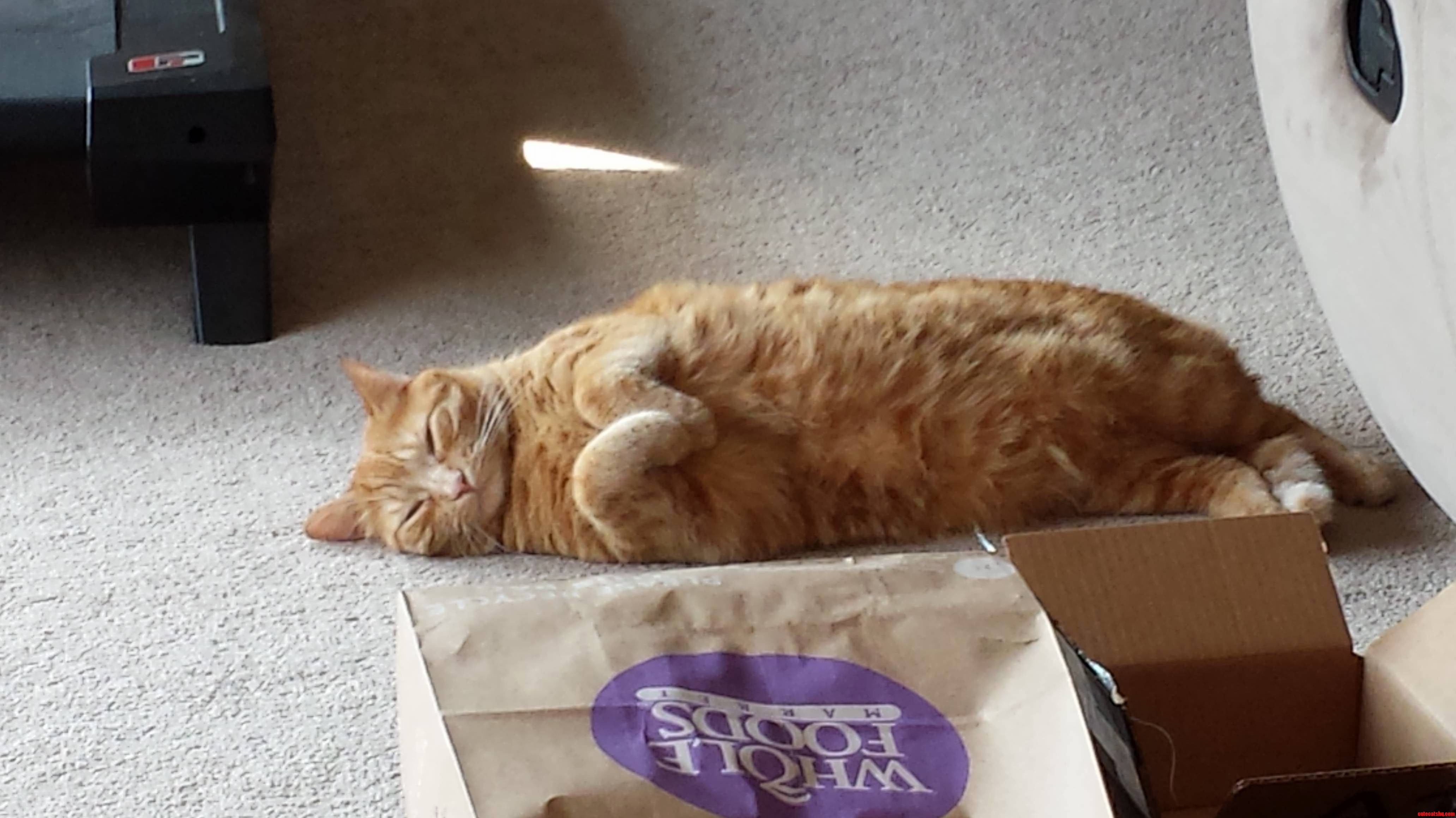 Look at Those Feets