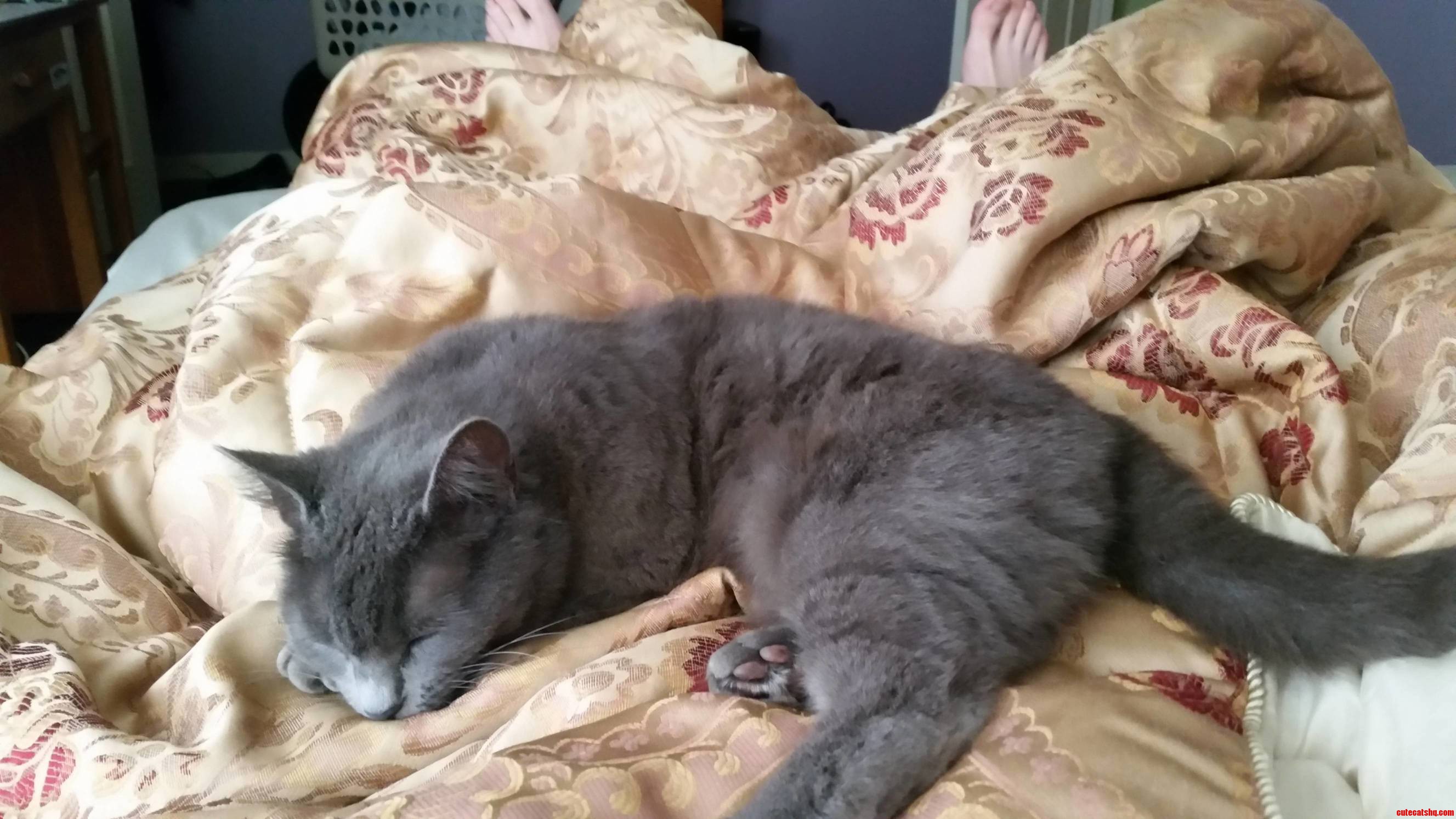 Looks Like I Cant Start My Day...