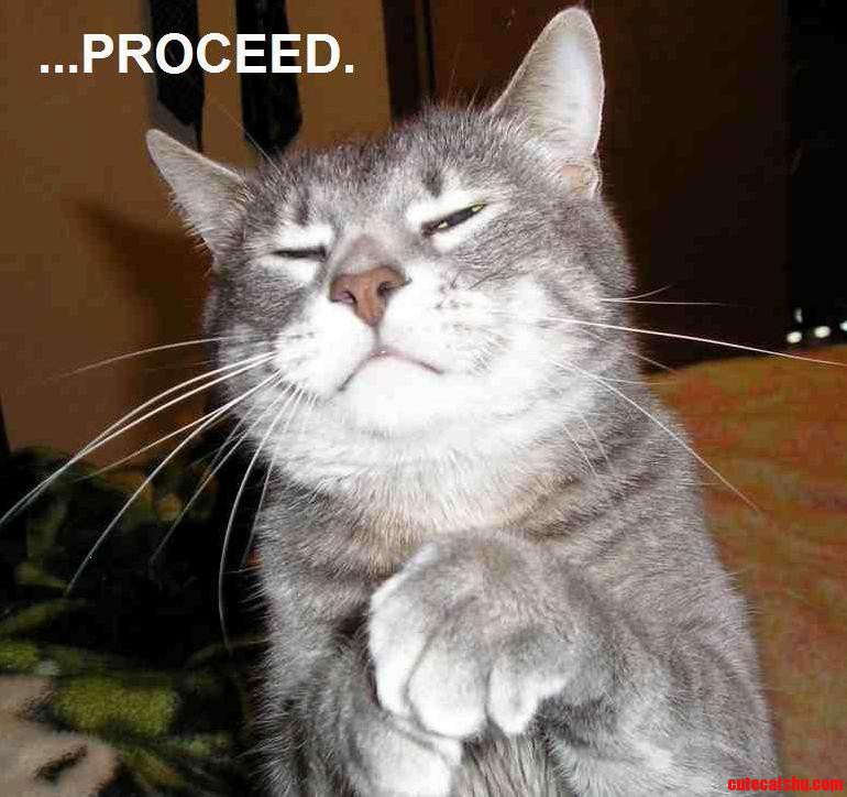Malicious Cat