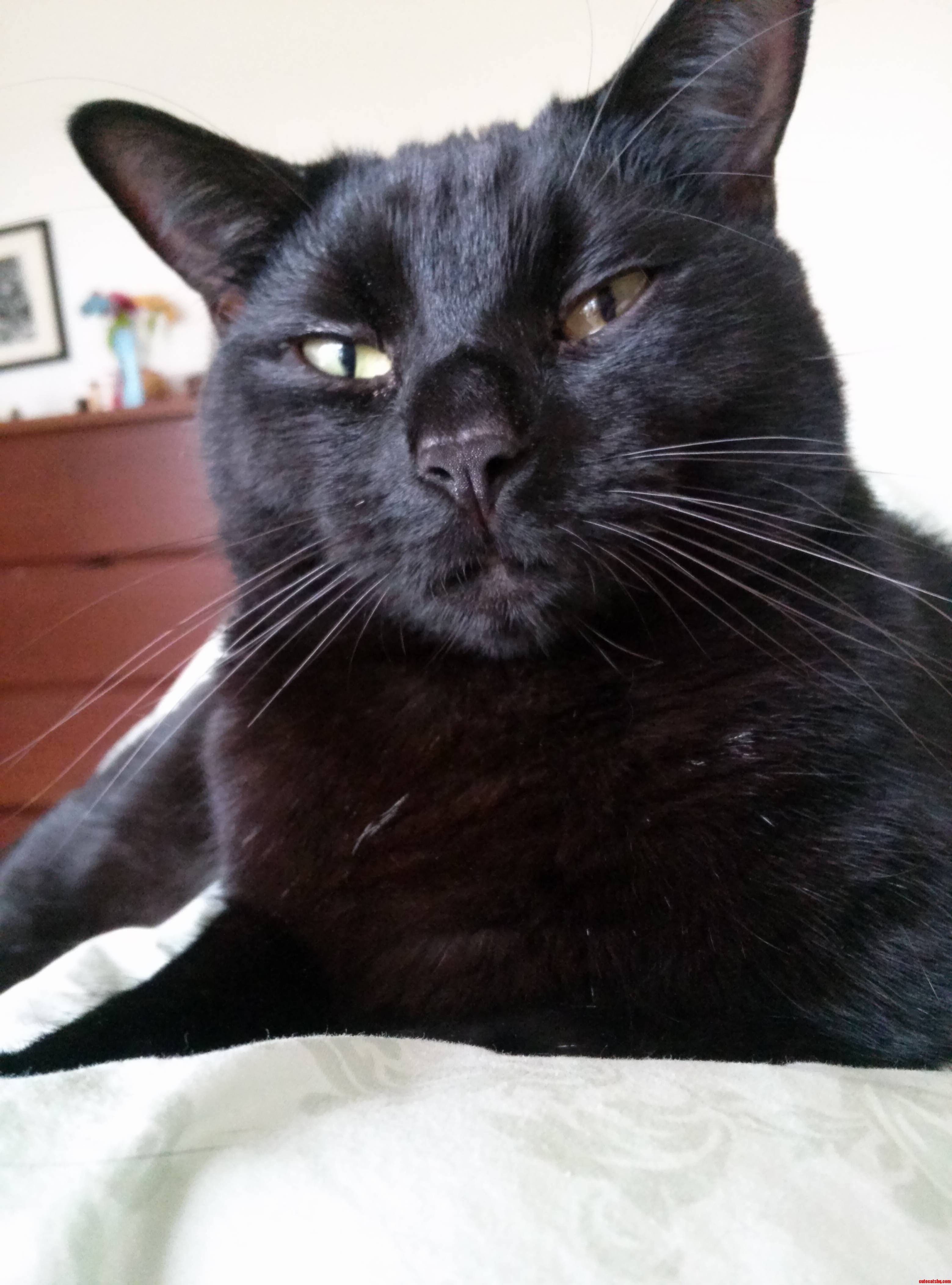 Many Look Like Him but Hes All Mine