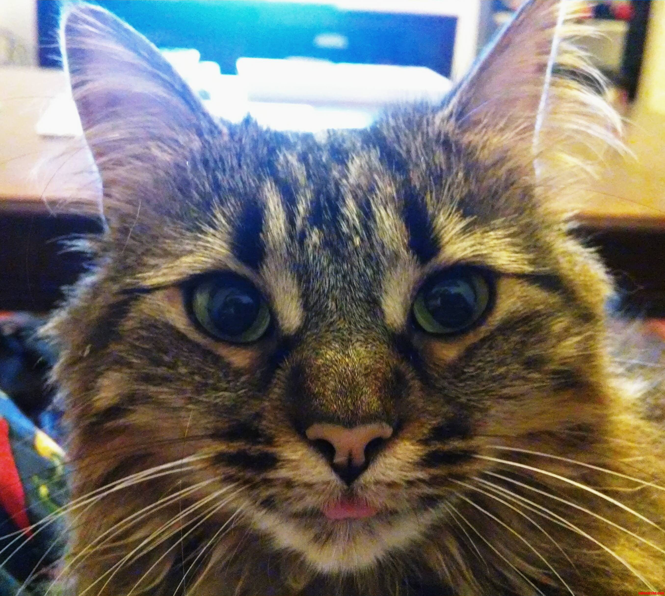 Marge Getting Her Derp On.