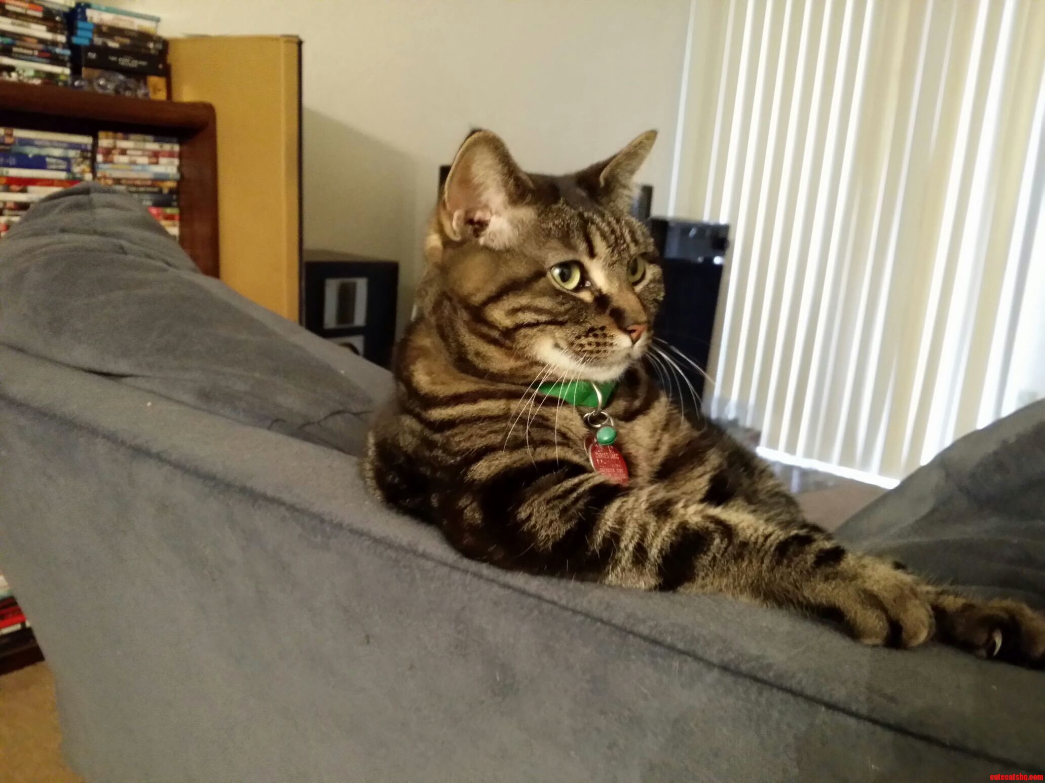 Marla Taking a Break from Being Fat and Sassy.