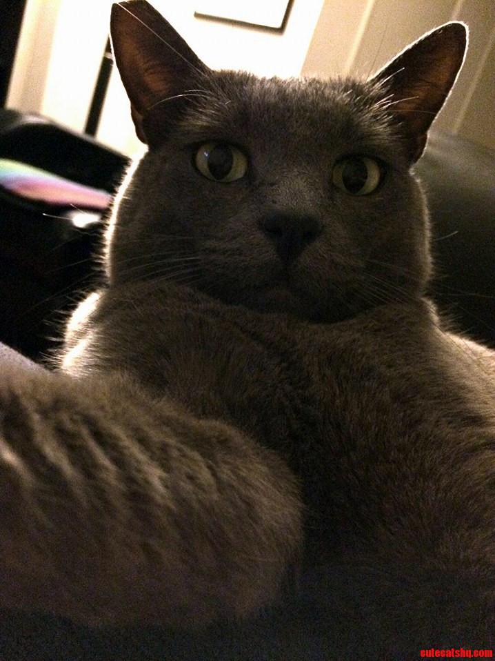 Mastering That Selfie Pose. - Meet My Boy Flash