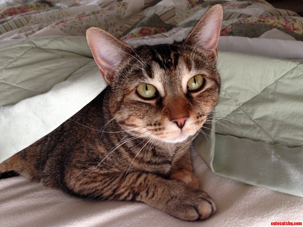 Mathilda Is Ready for Spring.
