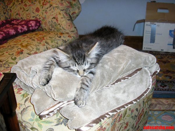 Me After a Long Day at Work