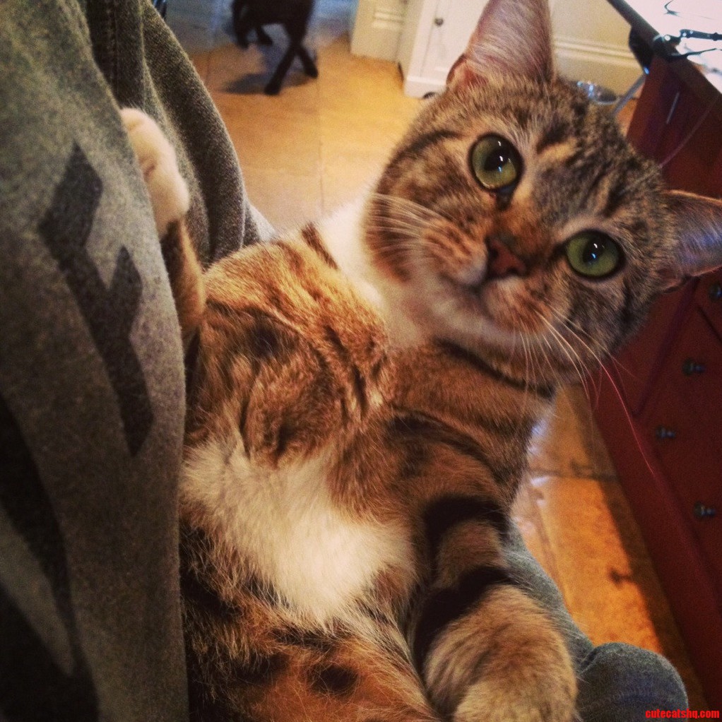 Meet Boo
