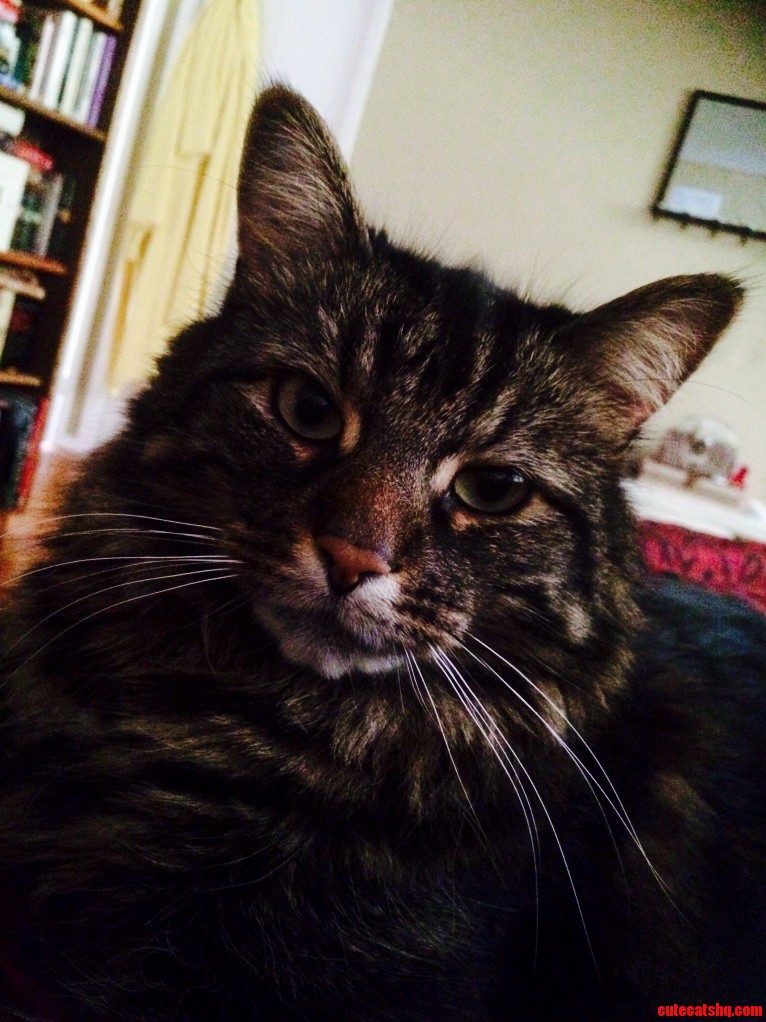Meet Booboosha