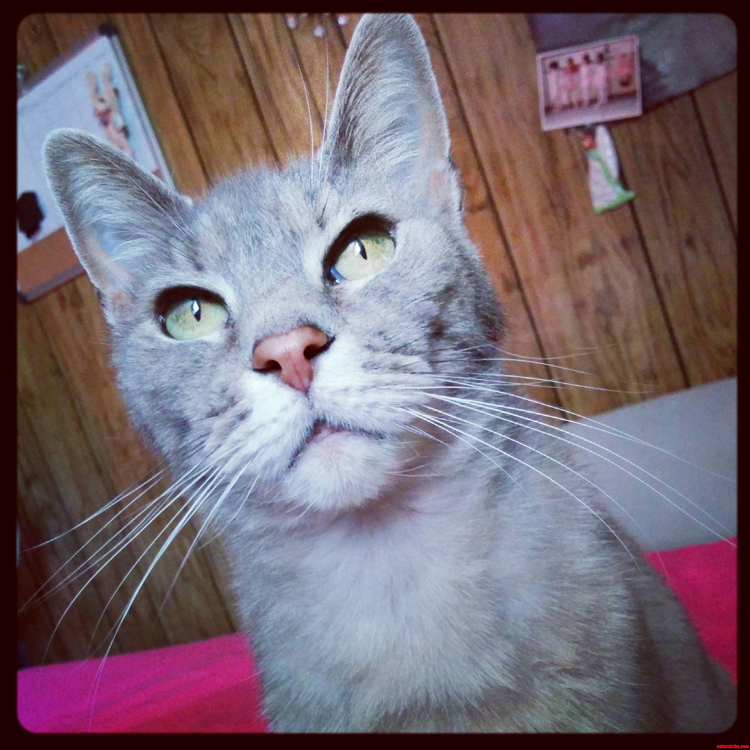 Meet My 15-year-old Beauty Princess.