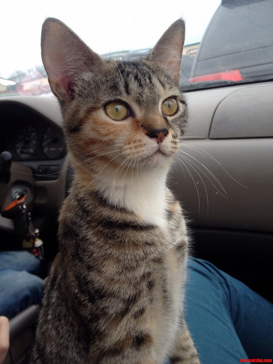 Meet Ruca. Just Picked Her Up Today