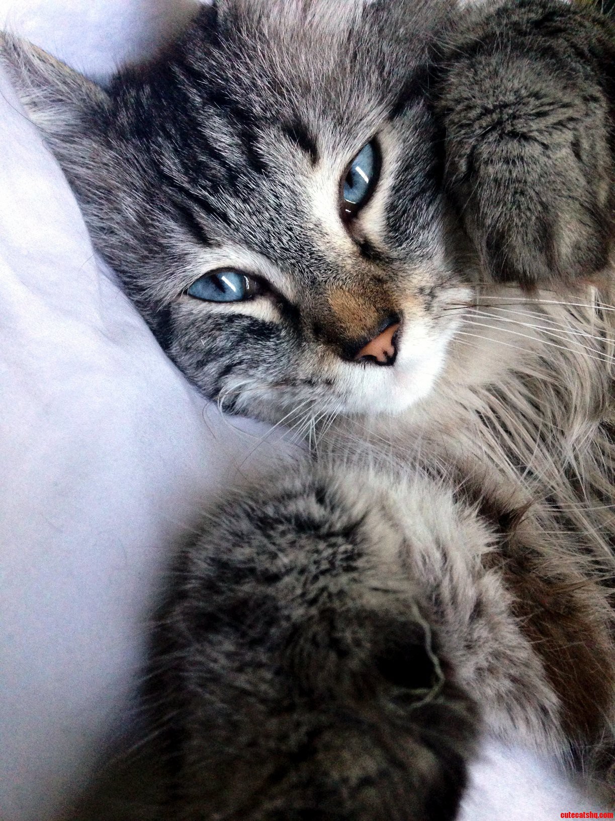 Meet Winky. Hes a Lovey Boy.