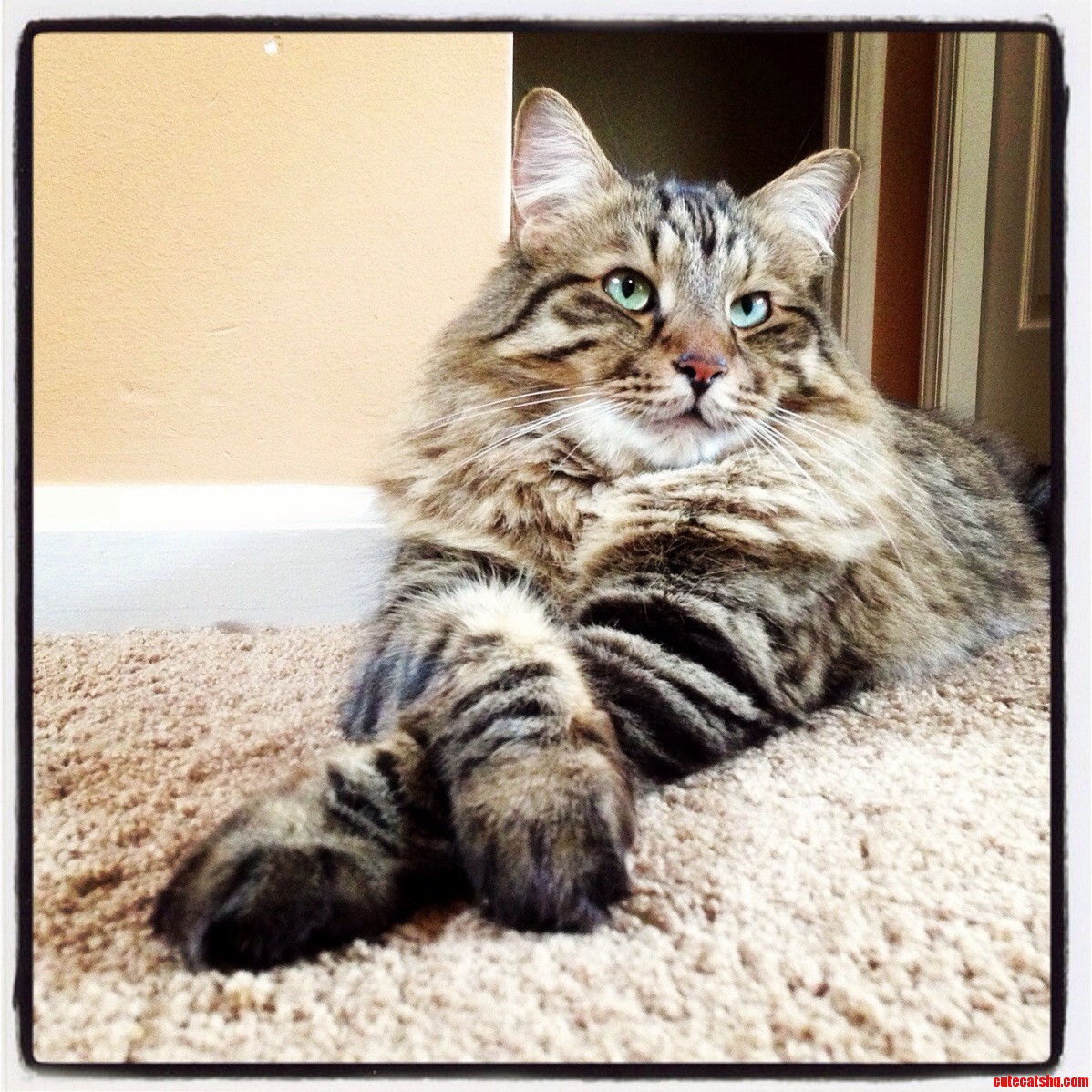 Memphis Strikes a Pose