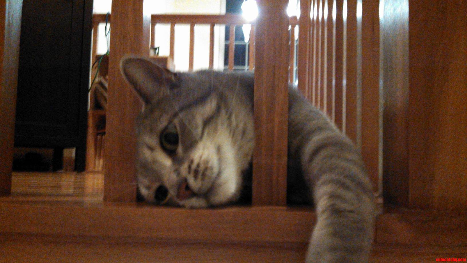 Miffy Playing