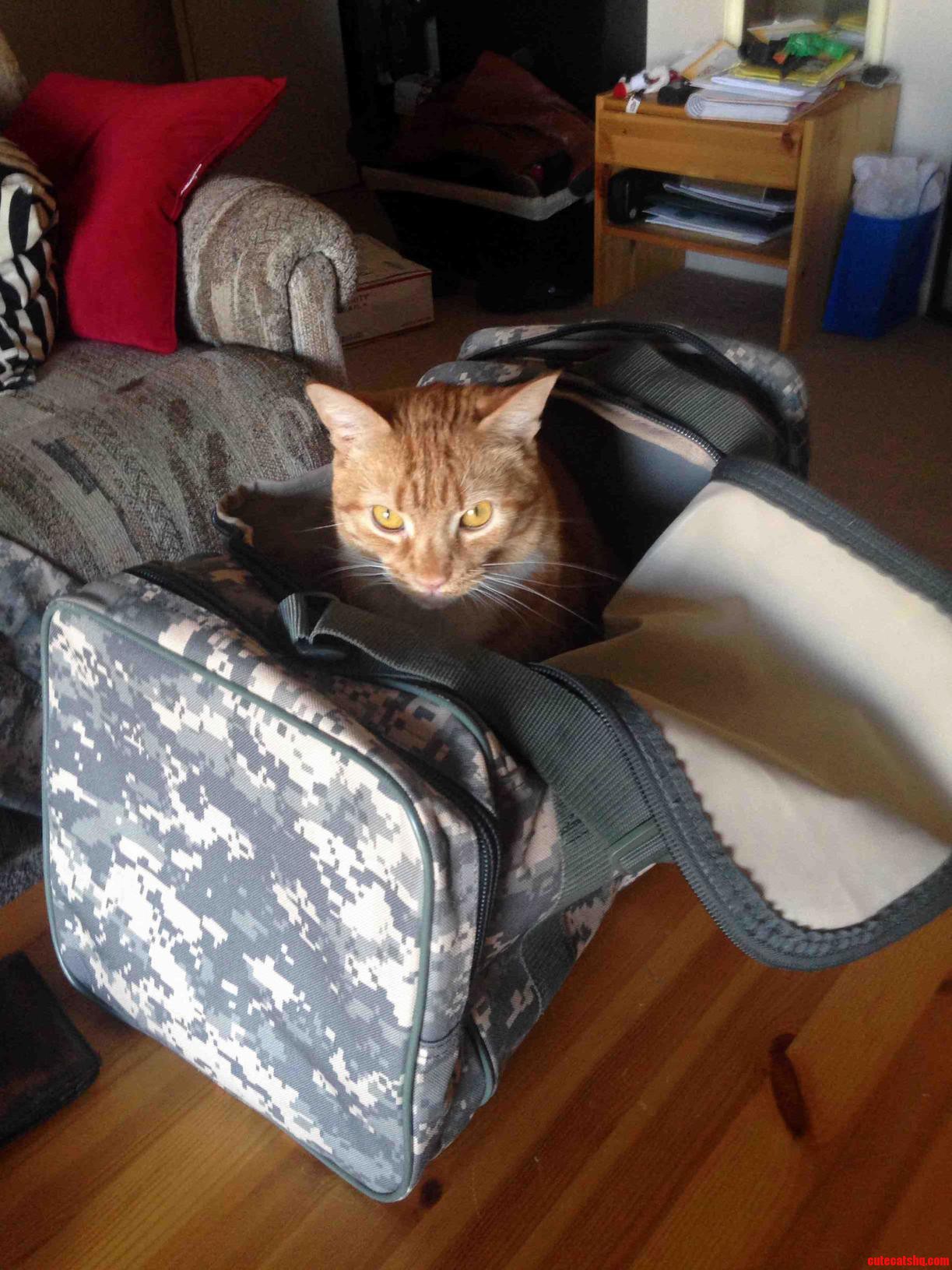 Military Issue