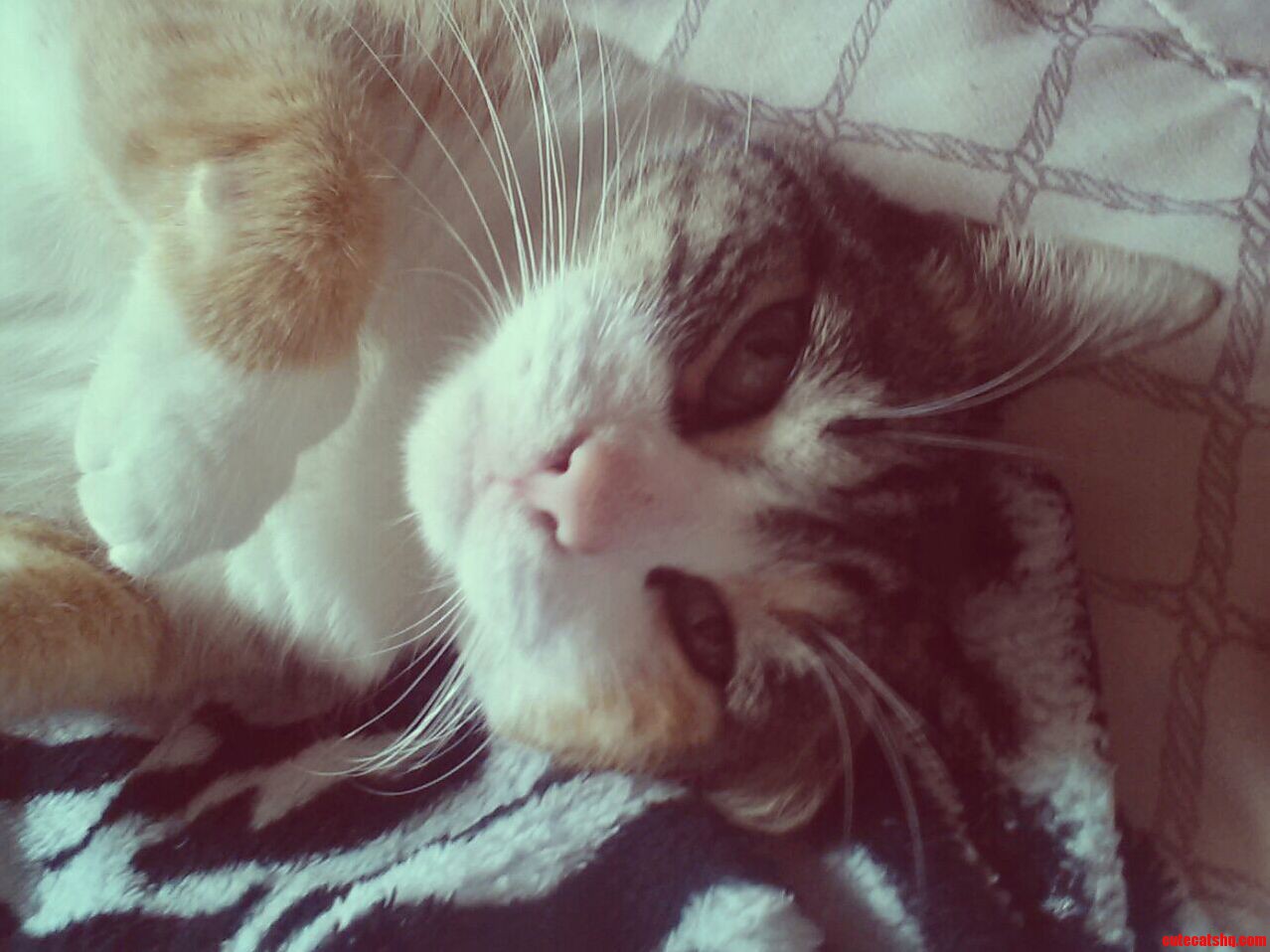 Missing Her