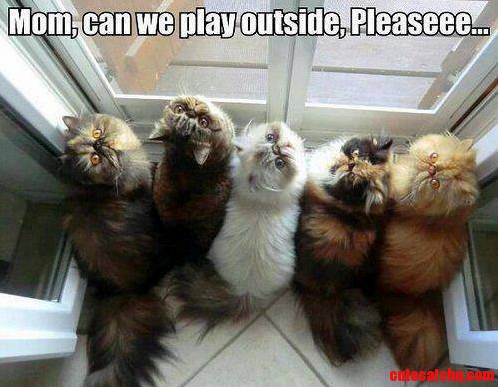 Mom Can We Play Outside Pleaseee...