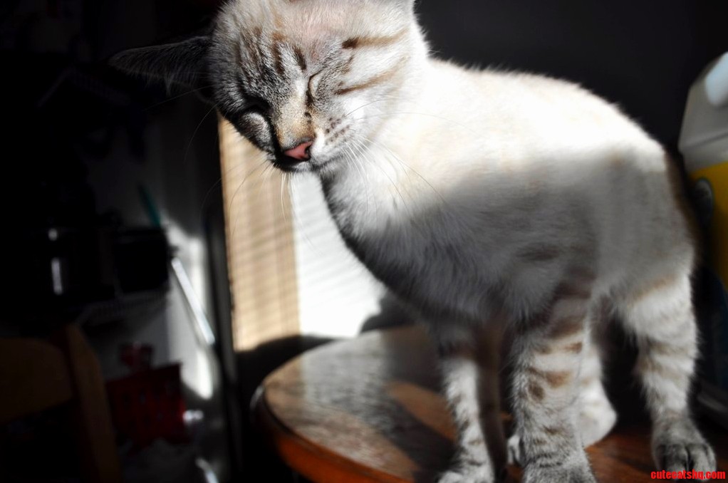 Mom Turn Off the Flash