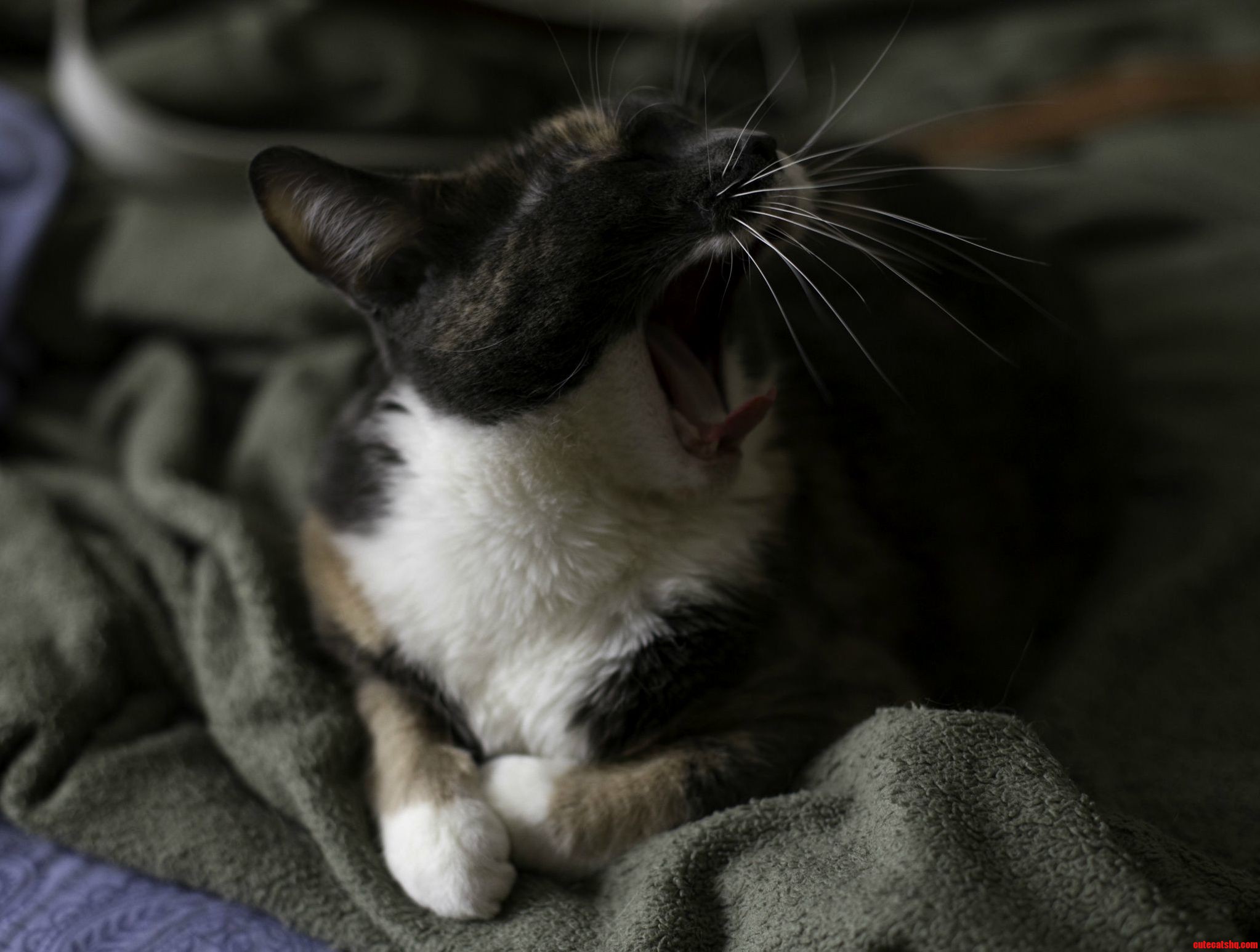 Monday