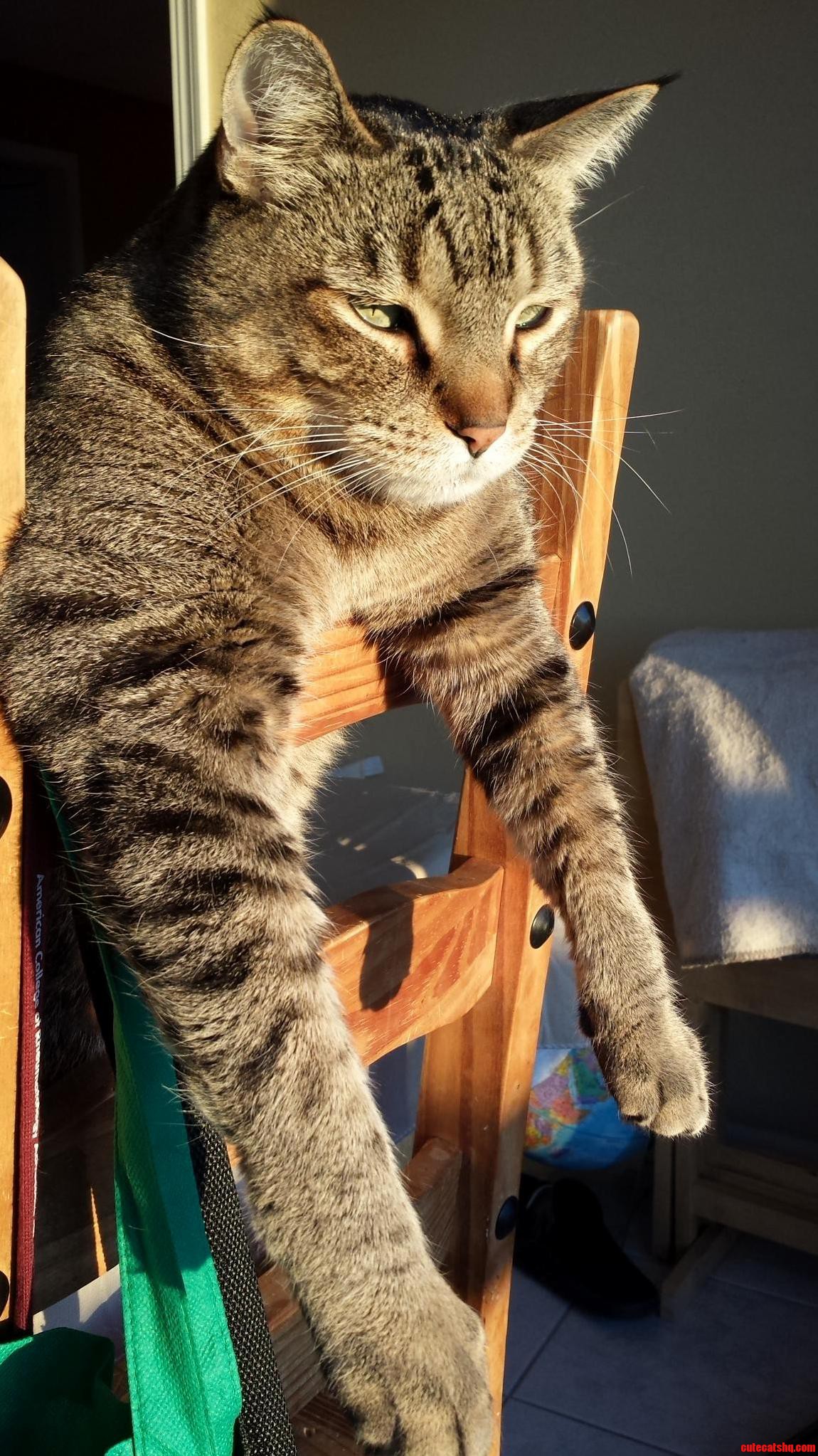 Morning Sun