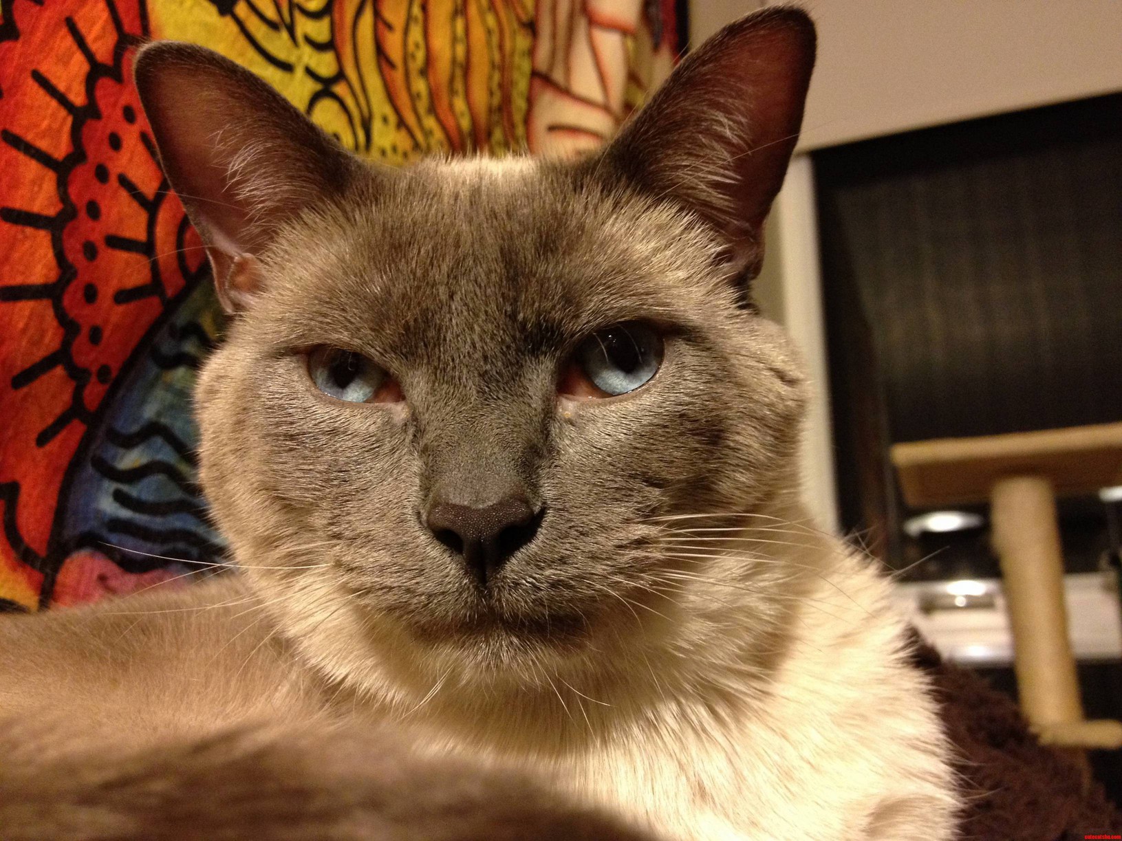 Mort Turns Two Years Old Today