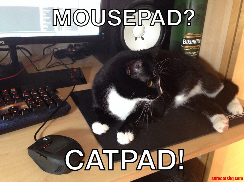 Mousepad