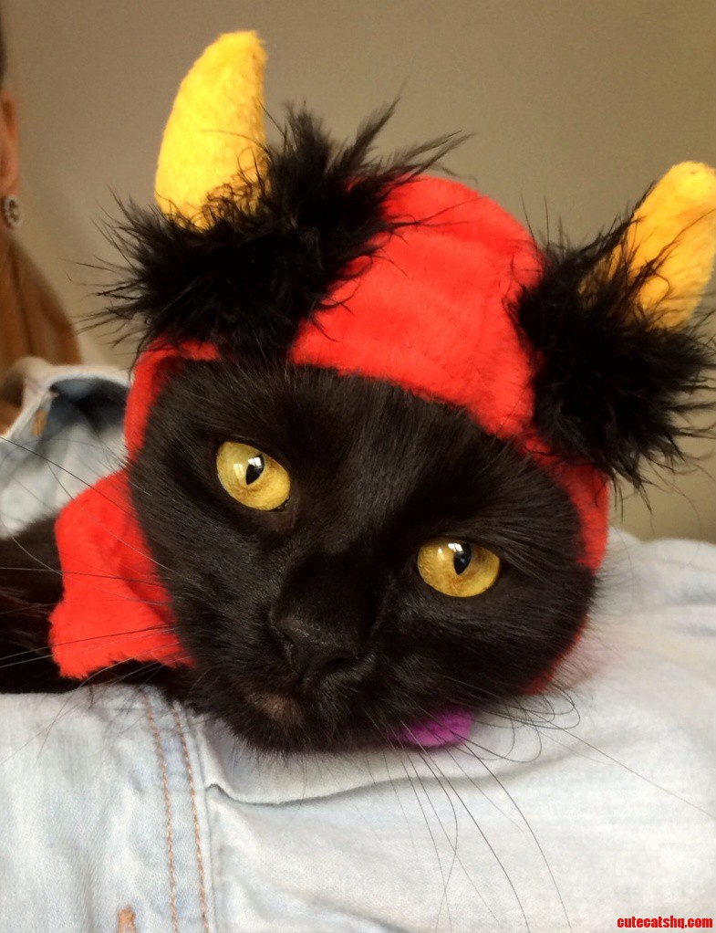 Mowgli Cant Wait for Halloween
