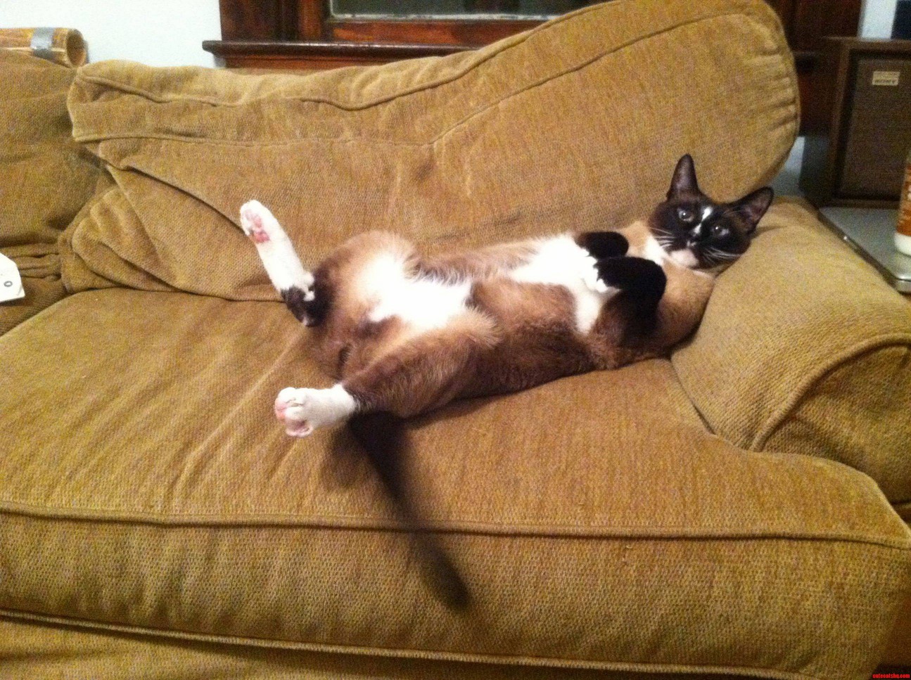 Mr. Travis