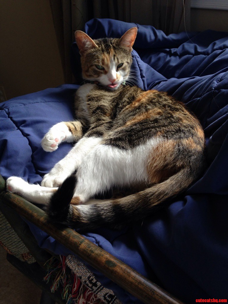 Muffinz Stuck Her Tongue Out at Me