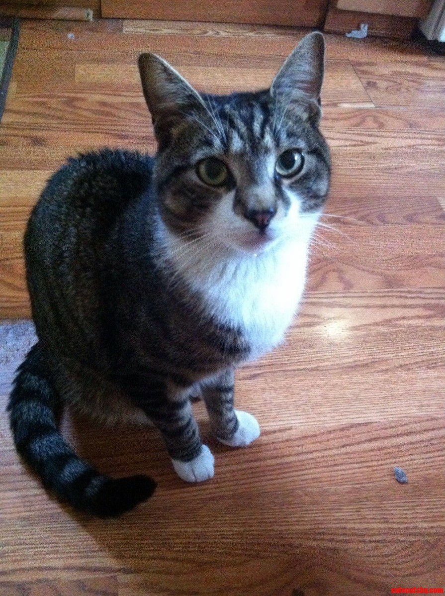My Baby Boy Toby.