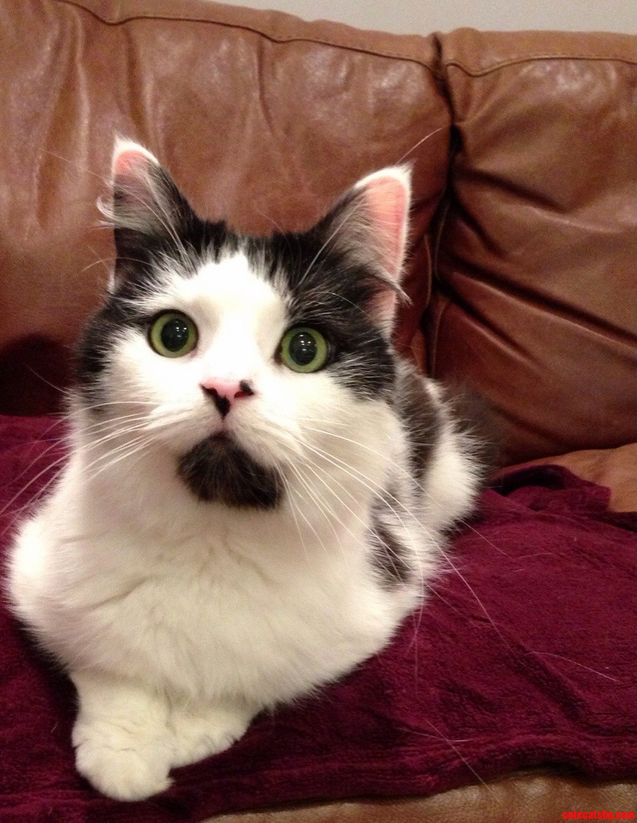 My Beautiful Leeloo 3