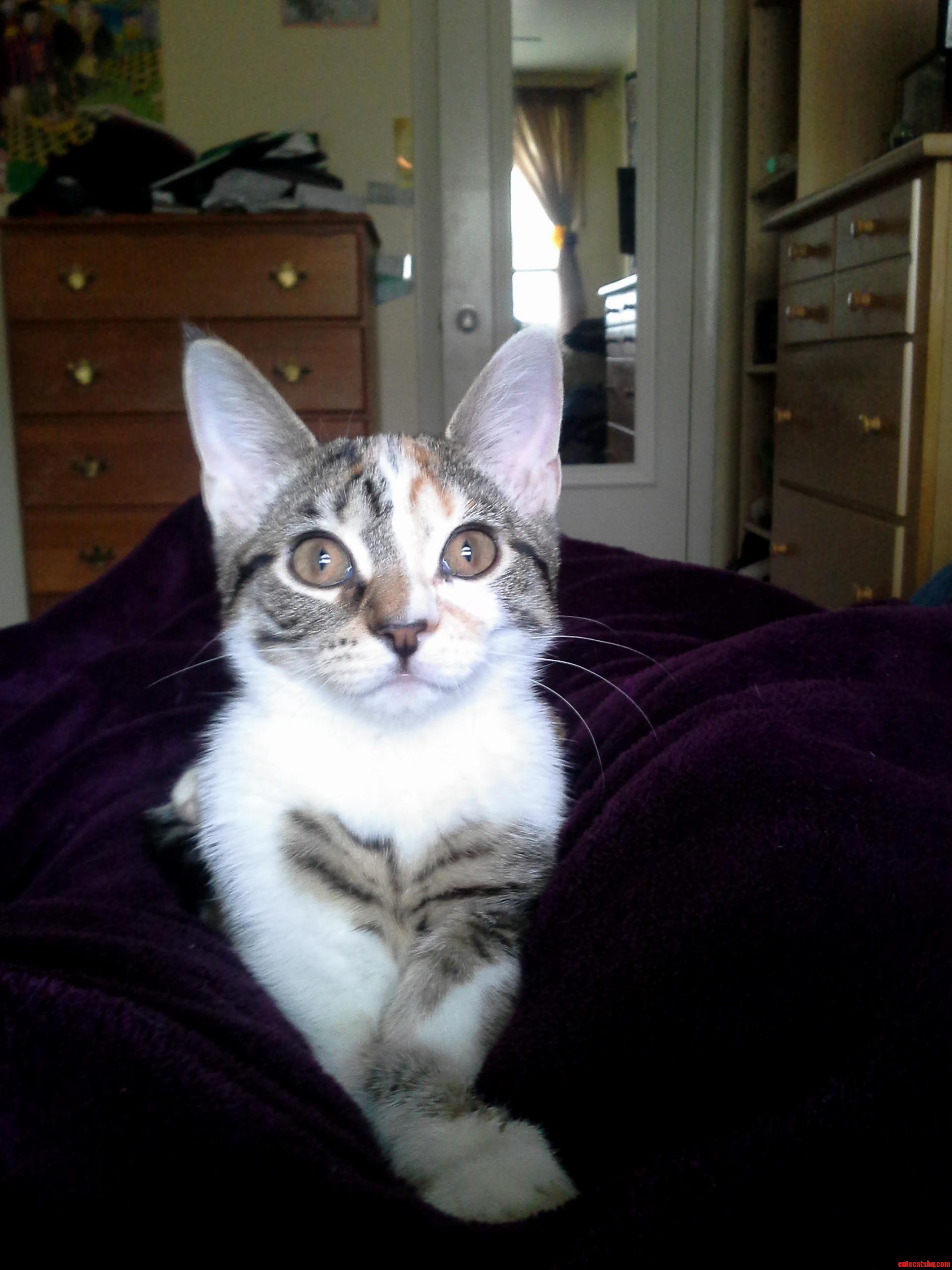 My Brown Eyed Girl 3