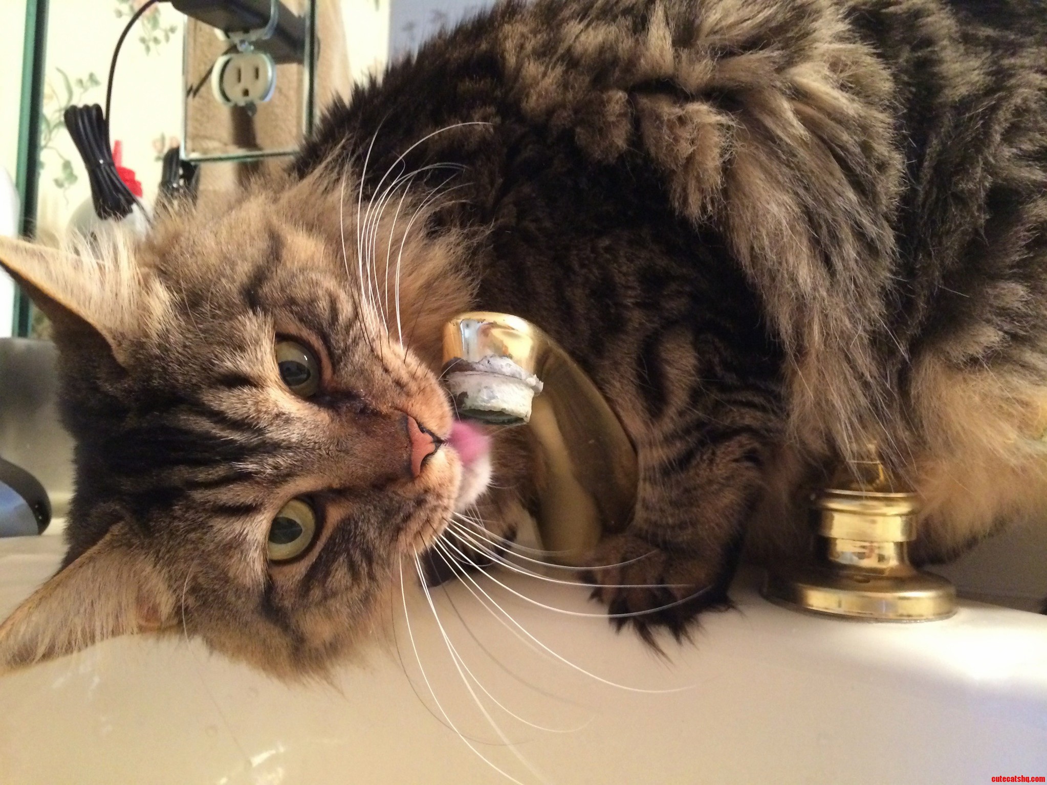 My Dad Caught a Picture of Gabriel Drinking