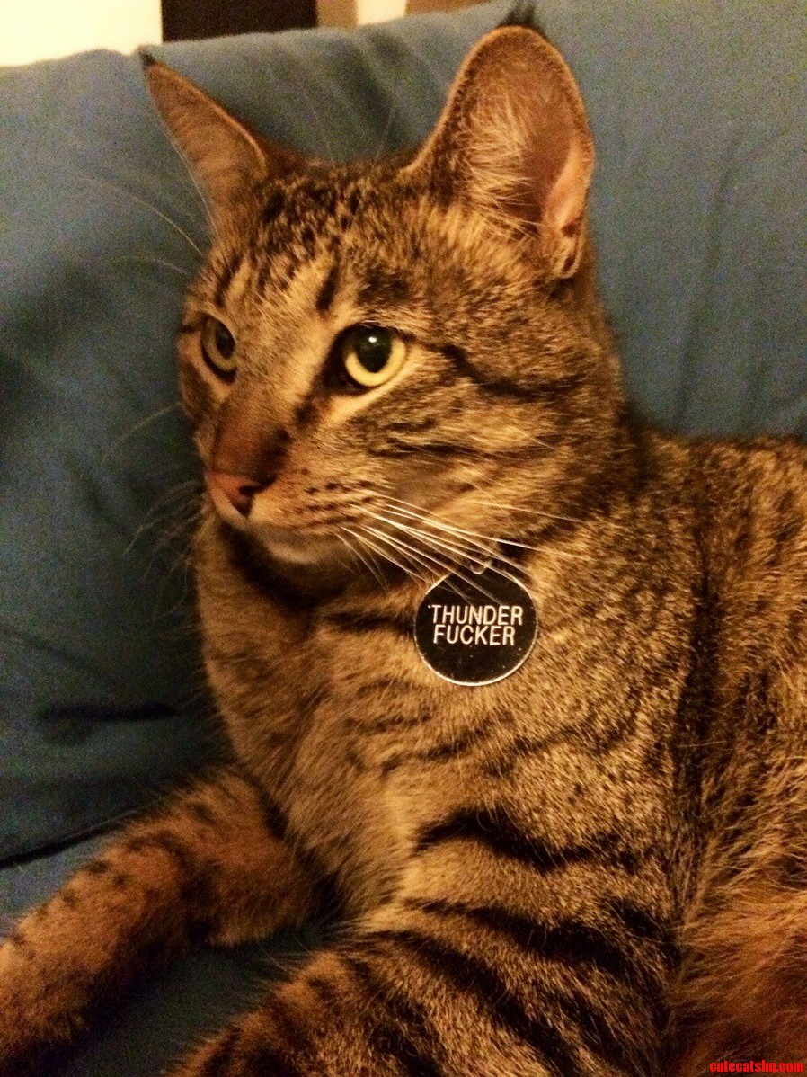 My Friends Graceful Beauty