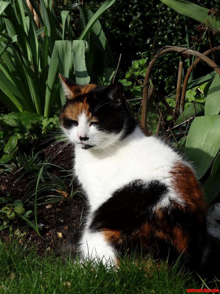 My Girl Kitty Ella
