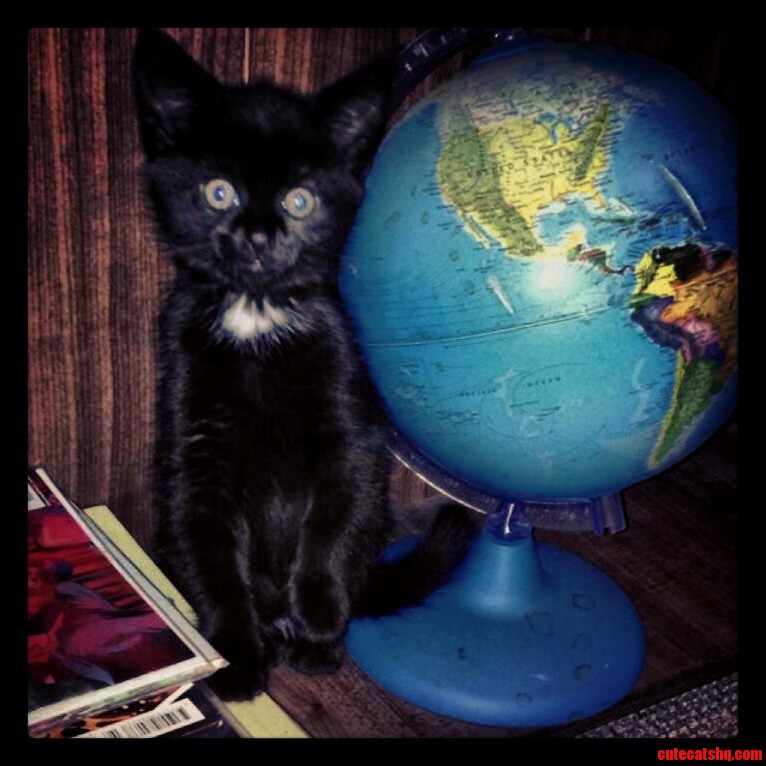 My Globe