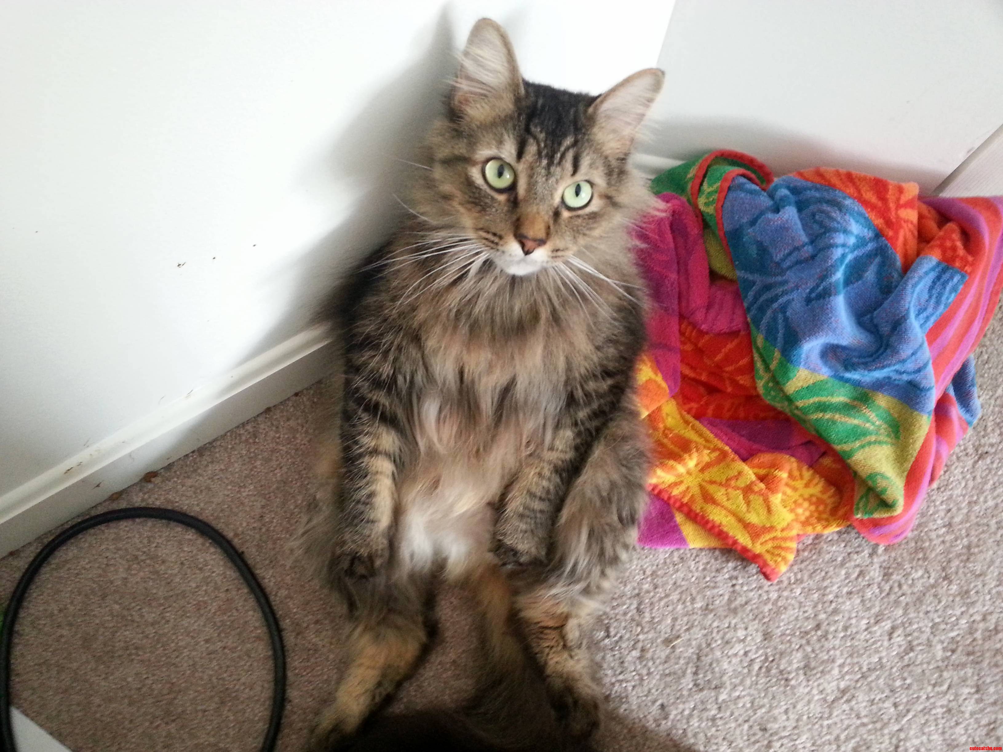 My Handsome and Silly Boy