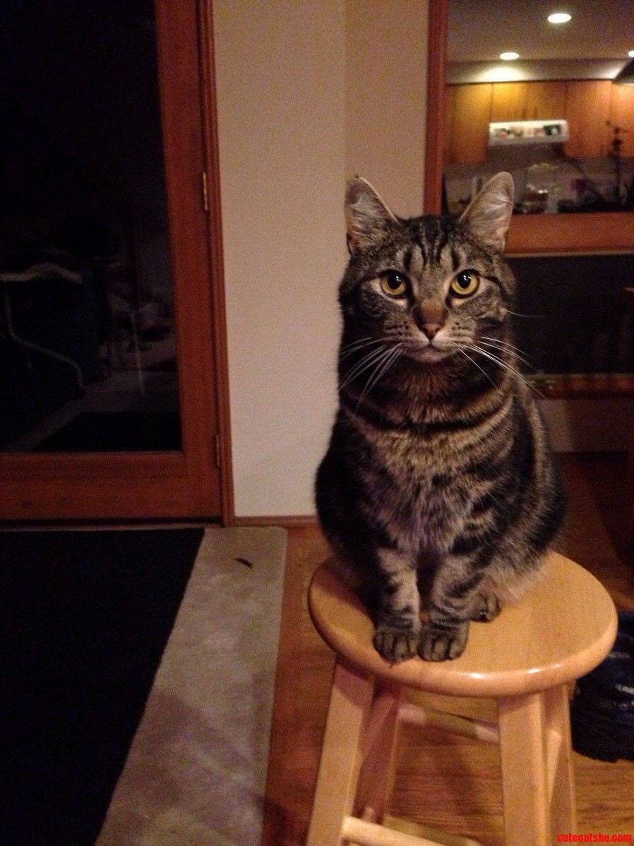 My Handsome Man