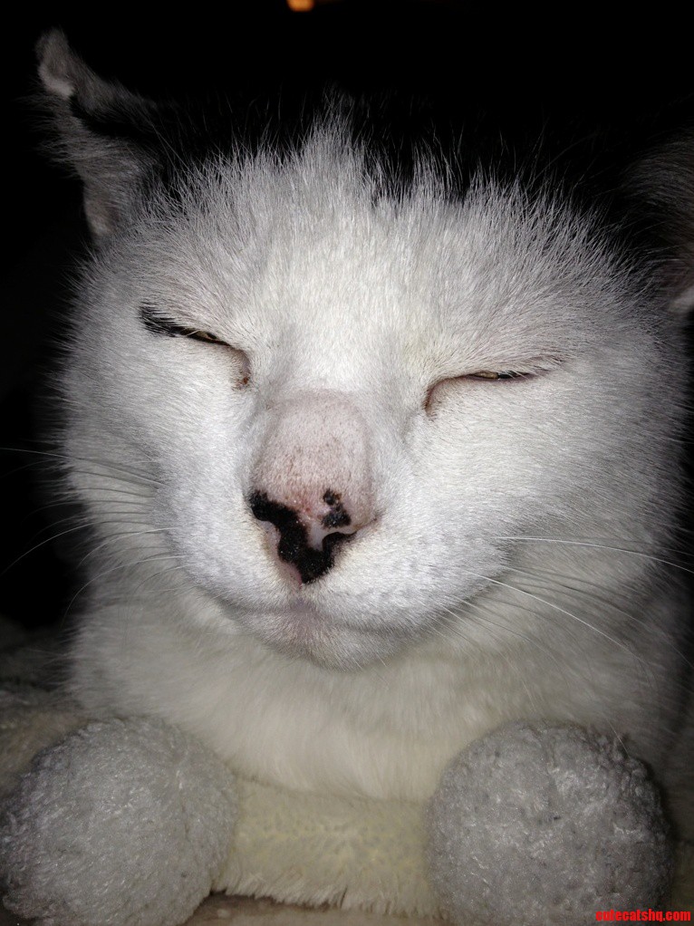 My Handsome Valentine