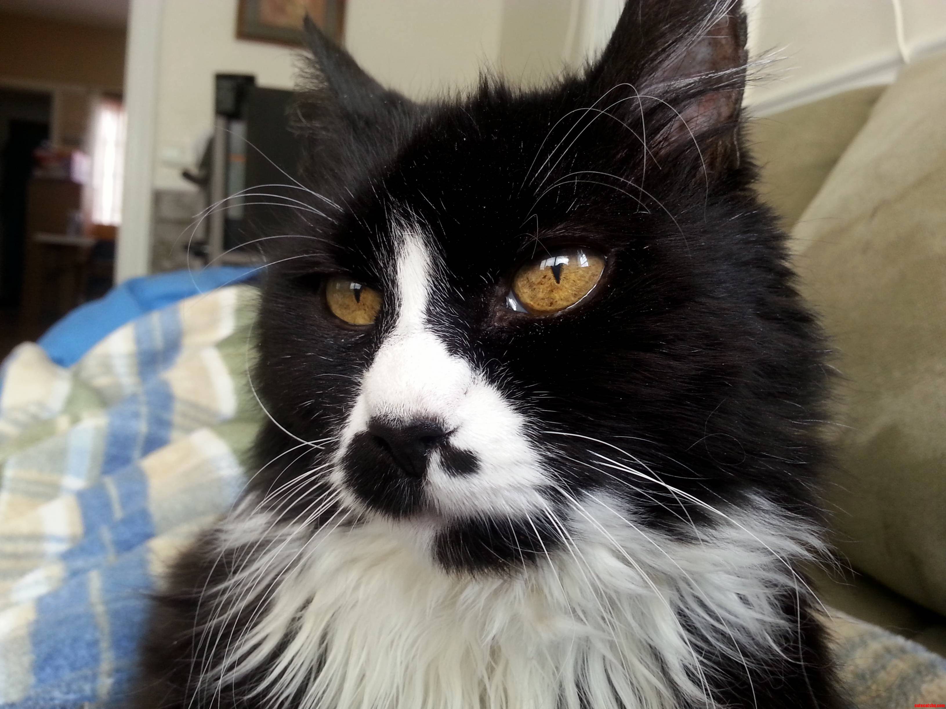 My Lily Is 16 Today