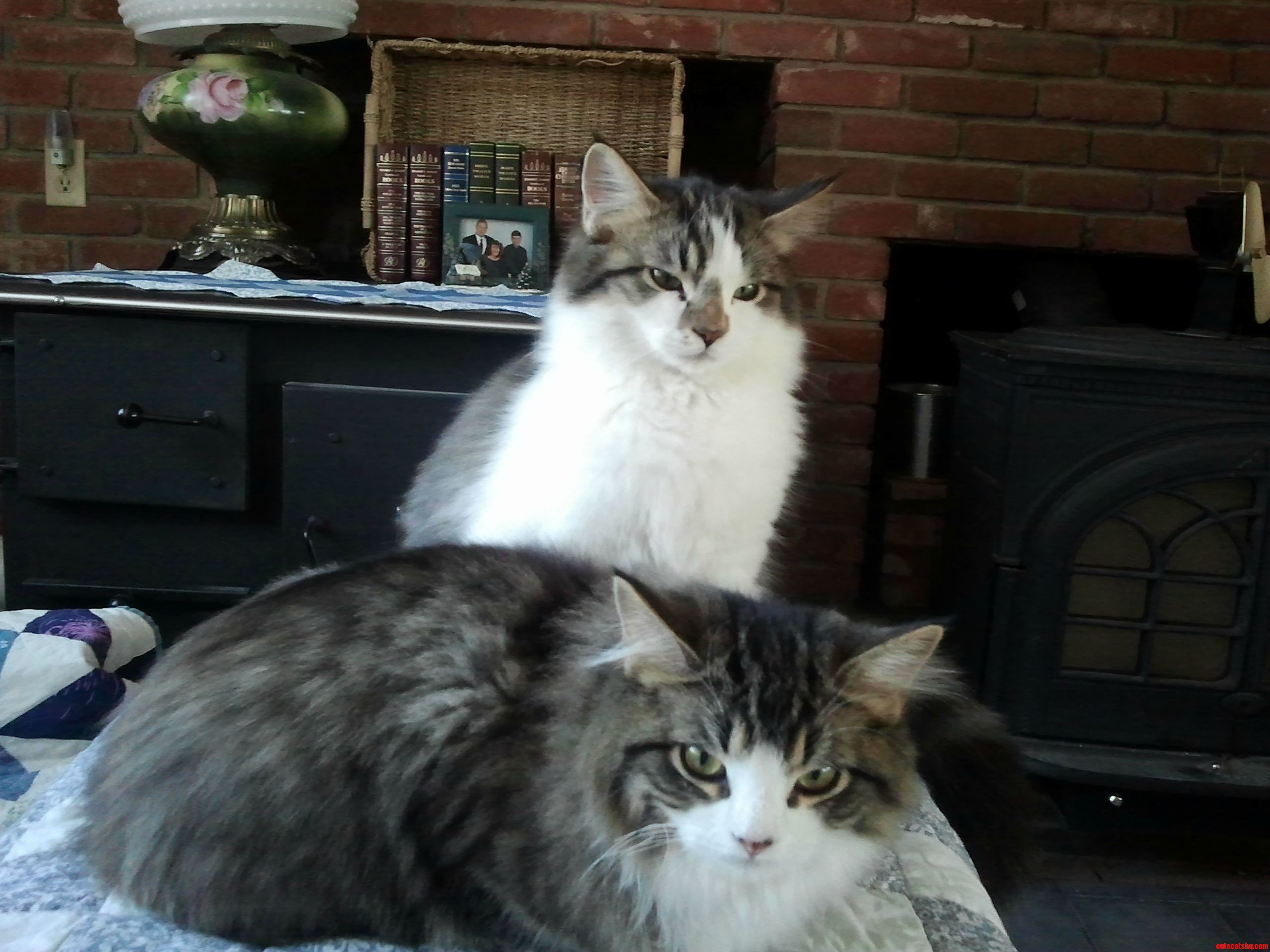 My Mothers Twins Ck and Gigi