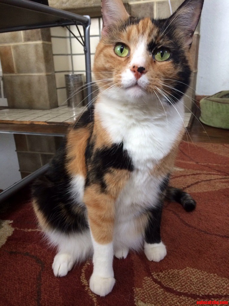 My Prettiest Lady Khloe.