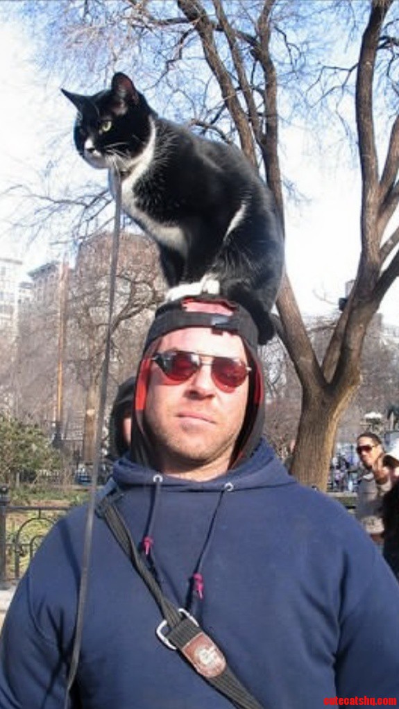 My Sister Met This Guy in Manhattan Today. I Guess He Just Walks Around Like This.