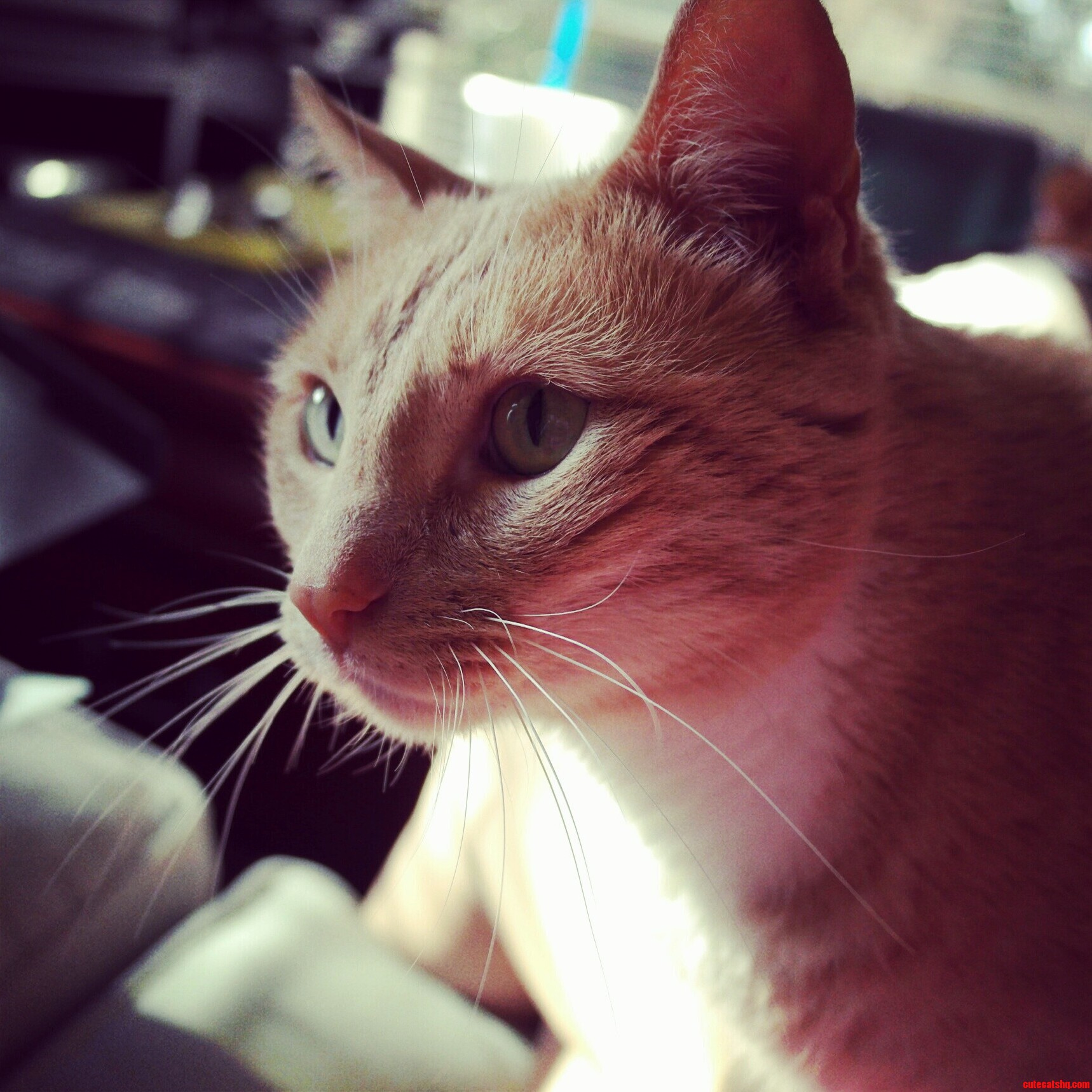 My Sweet and Special Old Man Edmund