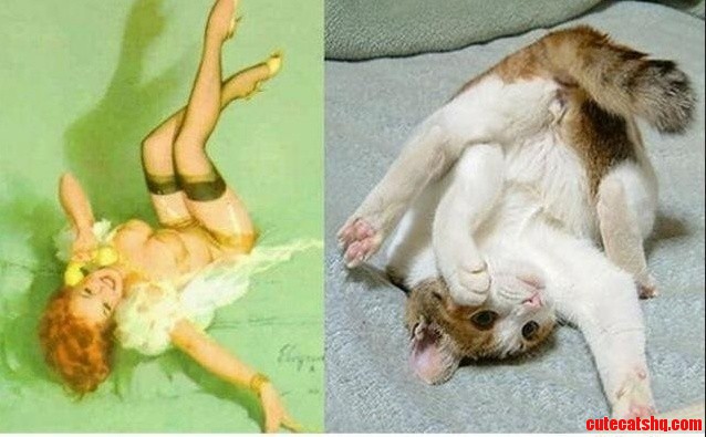 Nailed It