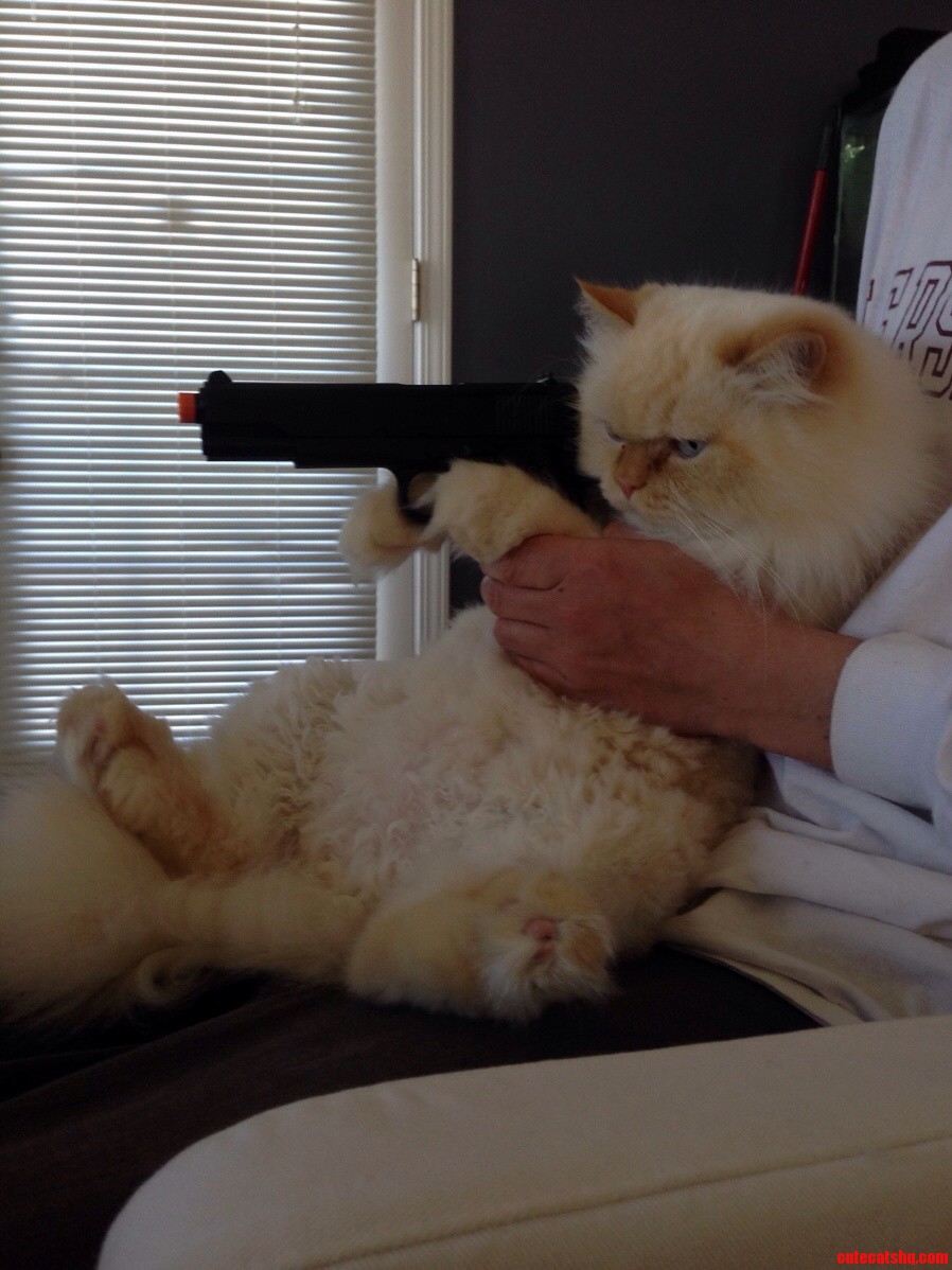 Never Feed Me Dry Food Again...
