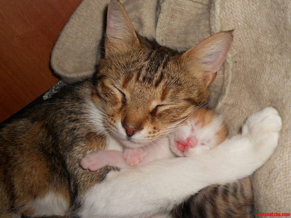 New Born and Her Mummy