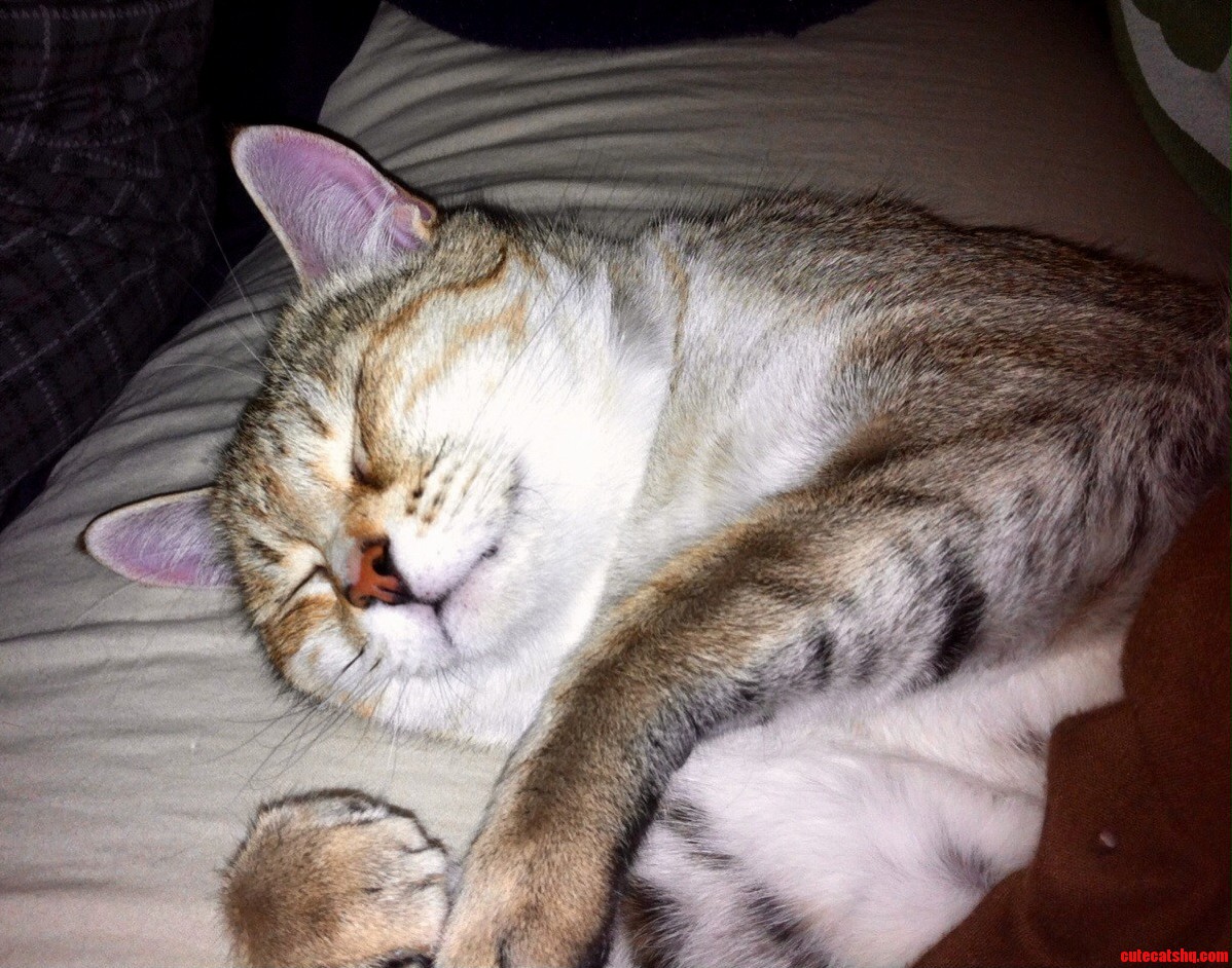 Nighty-night