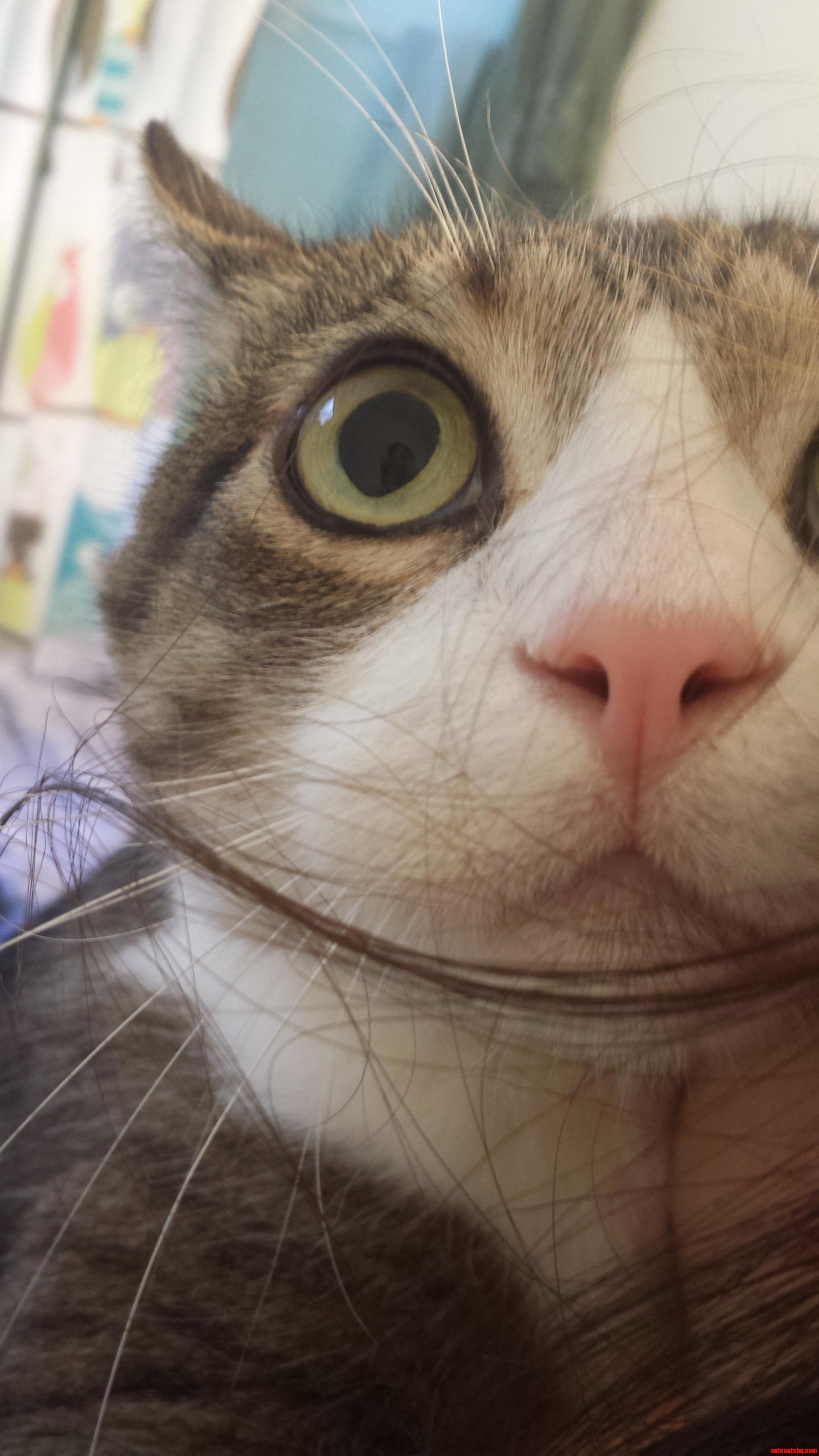 No Idea How I Got This Picture