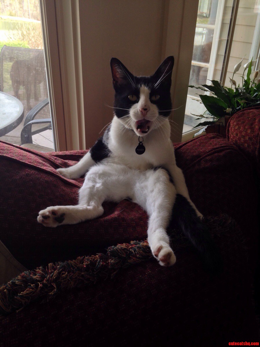 Not His Classiest Pose