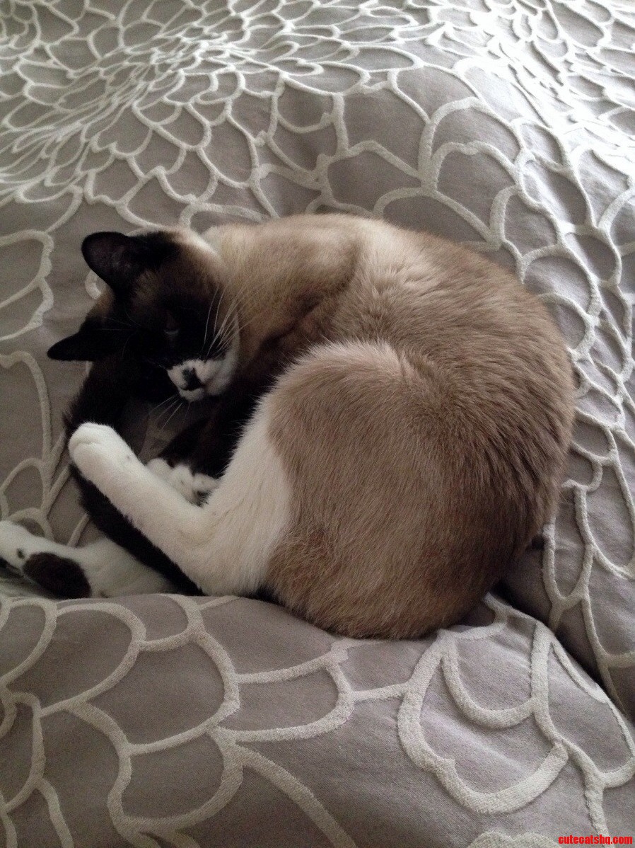 Oh Hai I Didnt See You There. Good Morning